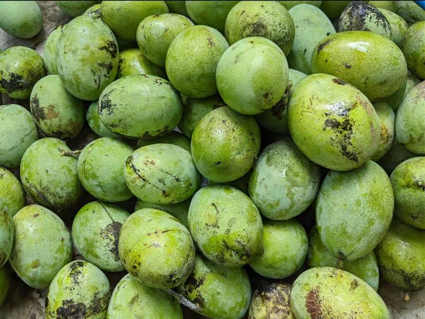 Manalagi Madu Mango Fruit Local Type Mango Indonesia — Stock Photo, Image