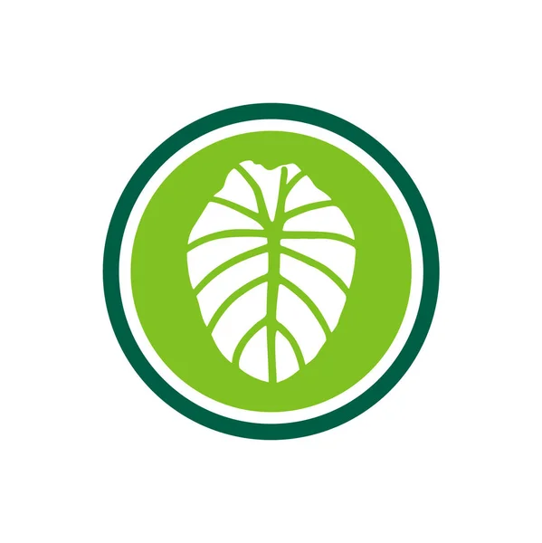 Fil Kulaklı Bitki Logosu Alocasia Yaprağı Sembolü — Stok Vektör