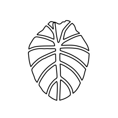 Alocasia yaprağı silueti. Fil kulaklı bitki yaprağı, çizgi sanatı illüstrasyonu