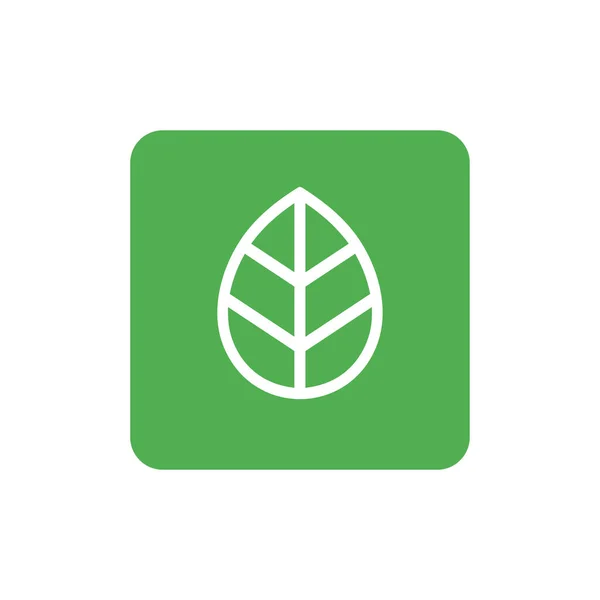 Grüne Blatt Ikone Design Vorlagen Elemente Öko Natur Vektorillustration — Stockvektor