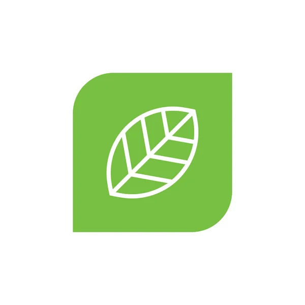 Plantilla Diseño Icono Logotipo Hoja Verde Vector — Vector de stock