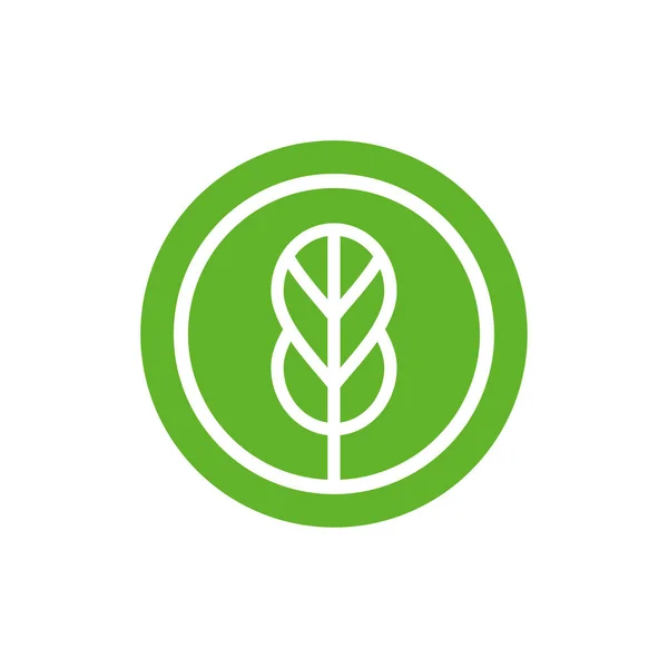 Plantilla Logotipo Hoja Abstracta Diseño Icono Hoja Verde — Vector de stock