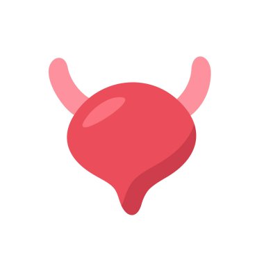 Mesane ikonu tasarım vektörü, insan vücudu iç organları.