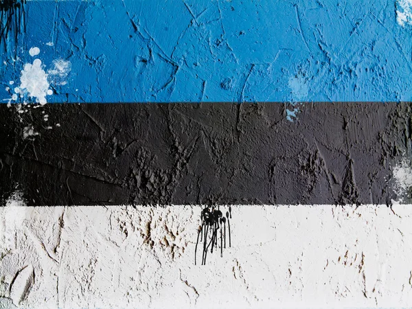 La bandera de Estonia — Foto de Stock