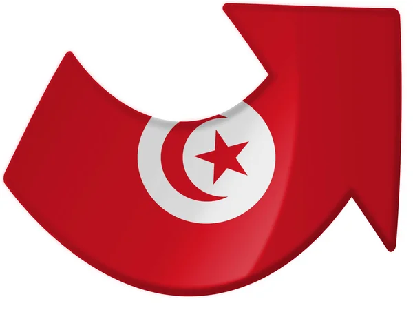 Flaggan tunis — Stockfoto