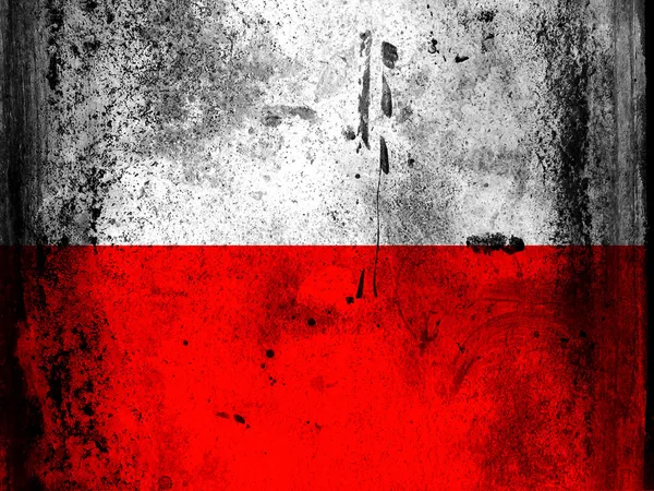 The Polish flag — Stock Photo, Image