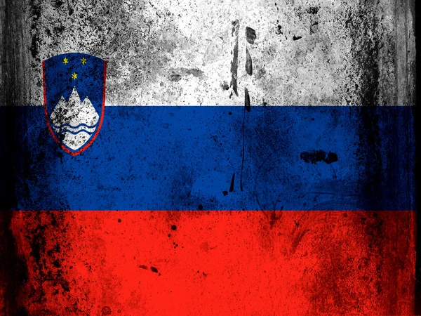 The Slovenia flag — Stock Photo, Image