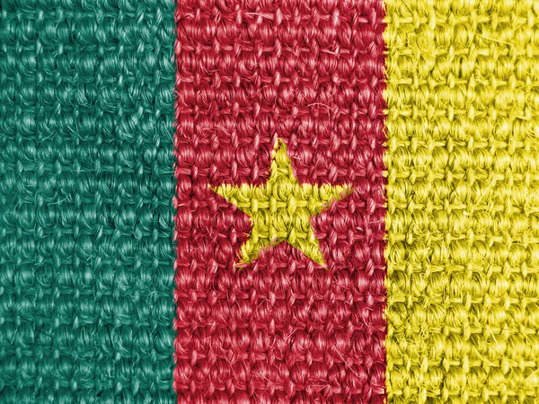 The Cameroonian flag — Stock Photo, Image