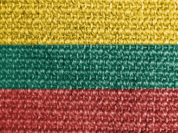 Banderą litewską — Zdjęcie stockowe