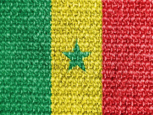 The Senegal flag — Stock Photo, Image