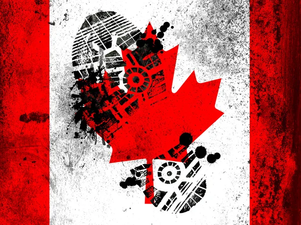 The Canadian flag — Stock Photo, Image