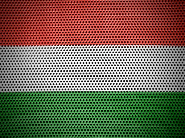 The Hungarian flag — Stock Photo, Image