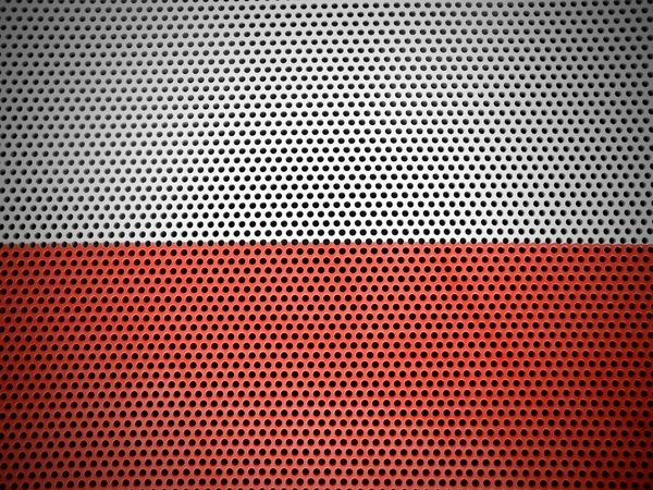 Det polske flag - Stock-foto