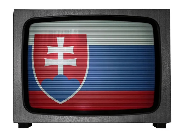 斯洛伐克国旗 — 图库照片