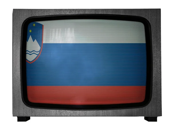 Sloveniens flagga — Stockfoto