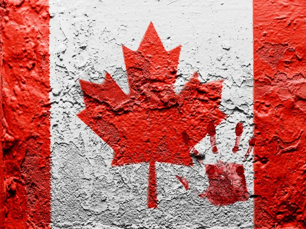 The Canadian flag — Stock Photo, Image