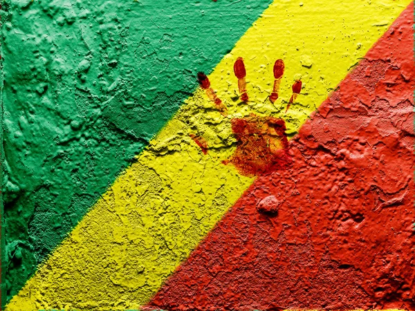 The Congo flag — Stock Photo, Image