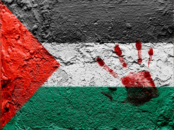 The Palestinian flag — Stock Photo, Image