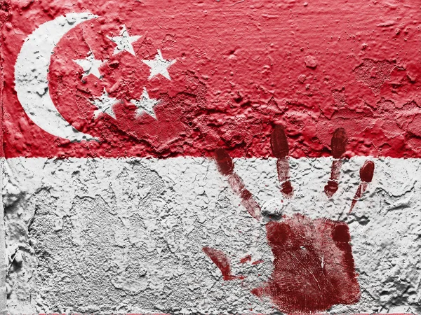 Singapur bayrağı