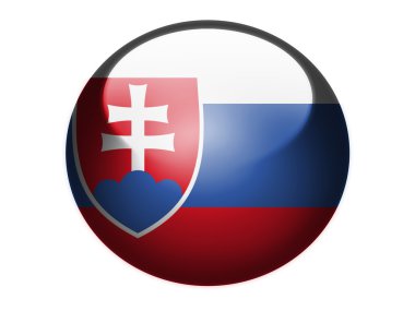 Slovakya bayrağı