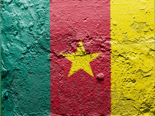 Kamerunský vlajka — Stock fotografie