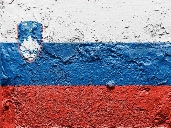 The Slovenia flag — Stock Photo, Image