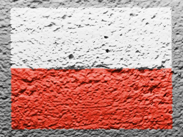 Den polska flaggan — Stockfoto