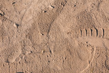 kum ait closeup fotoğraf