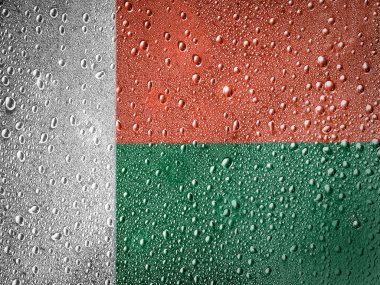 Madagaskar bayrağı