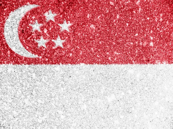 The Singapore flag — Stock Photo, Image