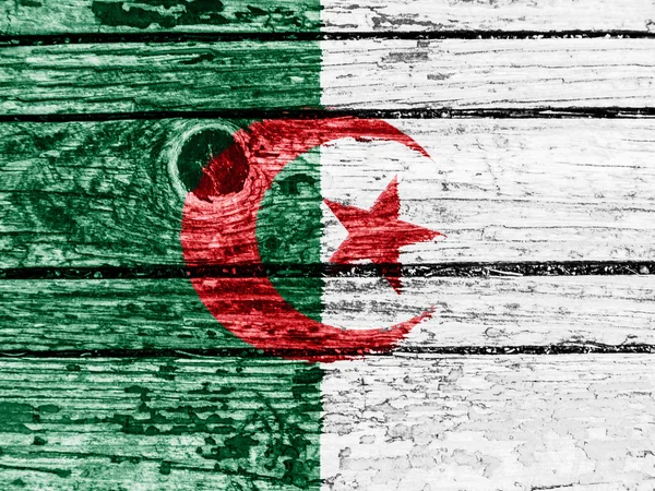 The Algerian flag — Stock Photo, Image