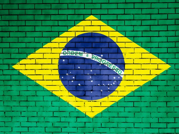 The Brazilian flag — Stock Photo, Image