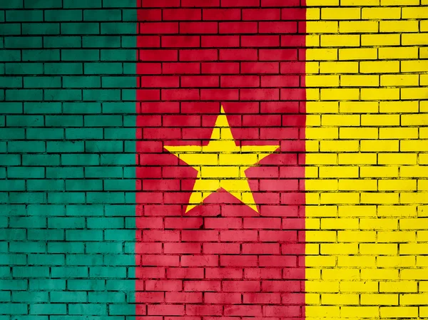 Die kamerunische Flagge — Stockfoto