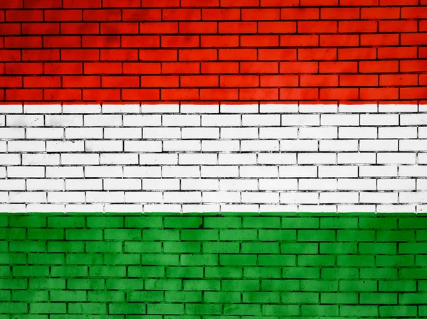 A bandeira húngara — Fotografia de Stock