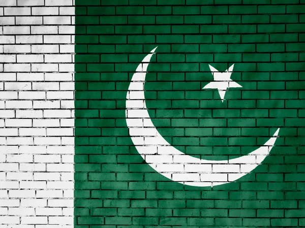 Den pakistanska flaggan — Stockfoto