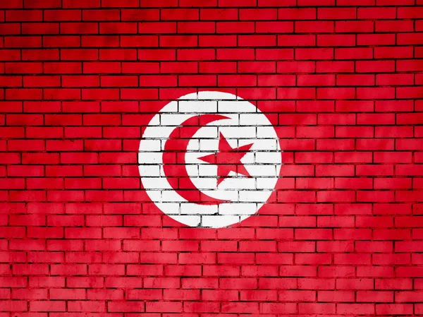 Flaggan tunis — Stockfoto