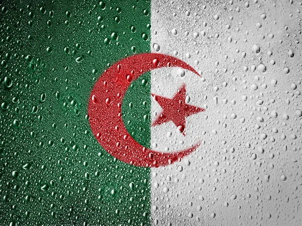 Den algeriska flaggan — Stockfoto