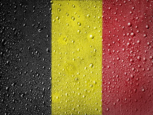 A belga lobogóbanderą belgijską — Stock Fotó