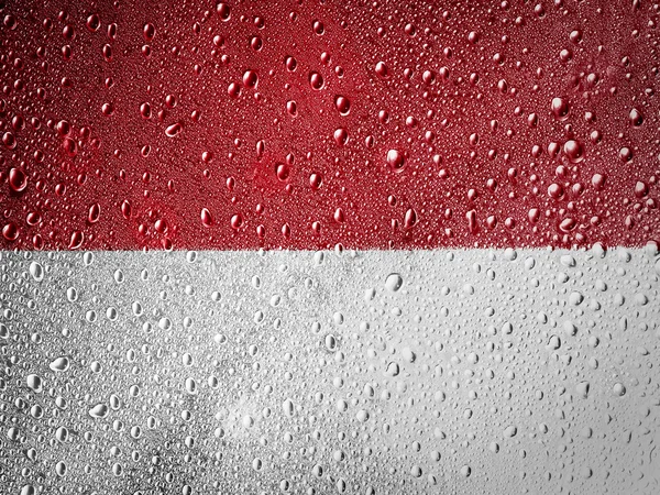 The Indonesian flag — Stock Photo, Image