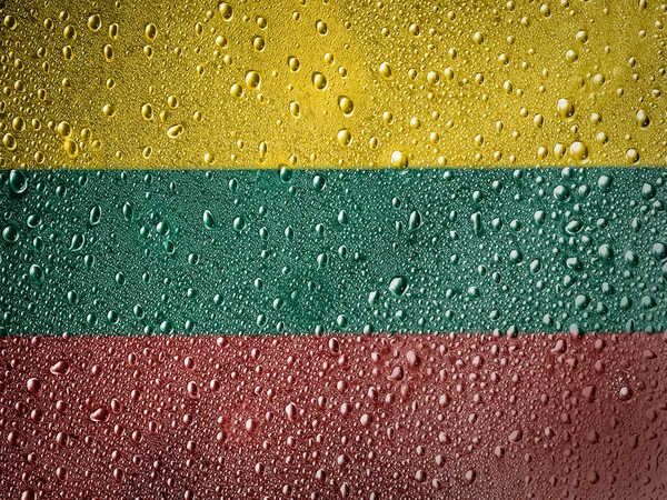 The Lithuanian flag — Stock Photo, Image