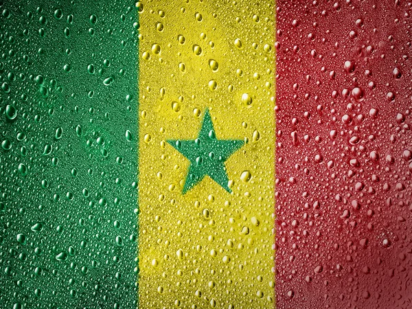 La bandiera senegalese — Foto Stock