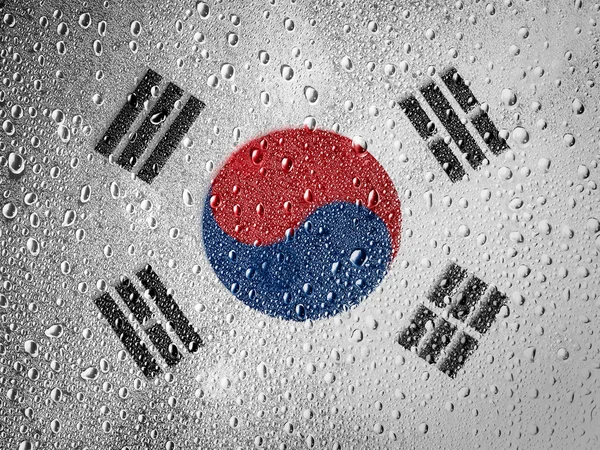 The South Korea flag — Stock Photo, Image