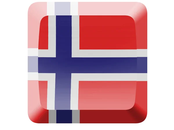 The Norwegian flag — Stock Photo, Image