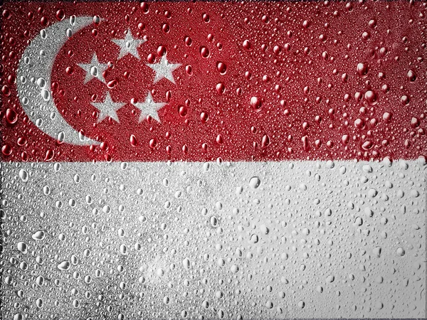 Bandeira de Singapura Imagem De Stock