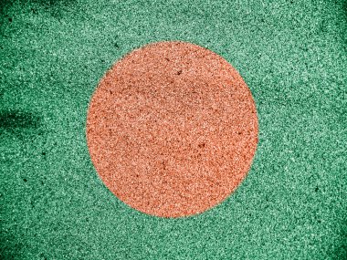 Bangladeş bayrağı