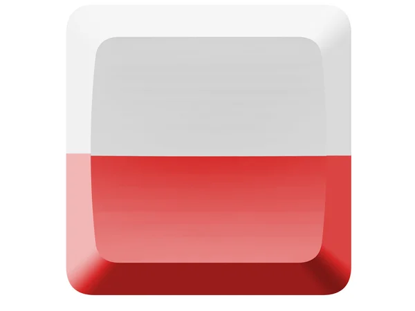 Den polska flaggan — Stockfoto