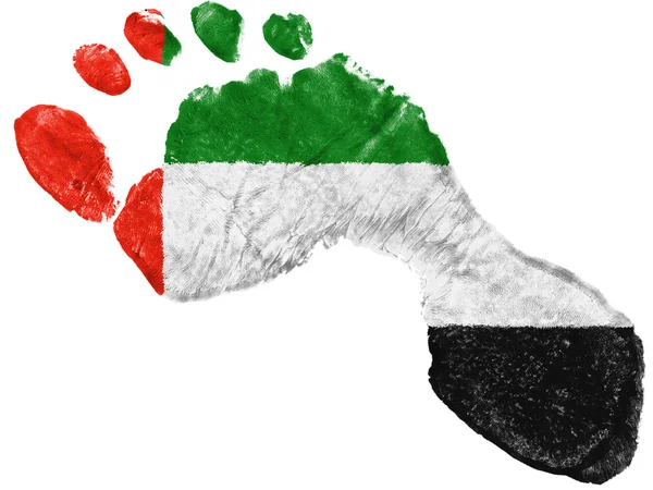 The UAE flag — Stock Photo, Image