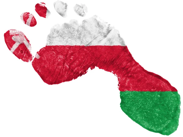 Bandiera dell'Oman dipinta a forma di impronta — Foto Stock