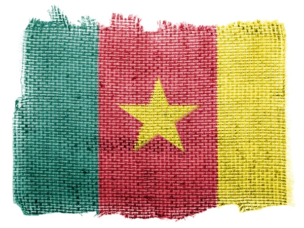 Die kamerunische Flagge Stockfoto