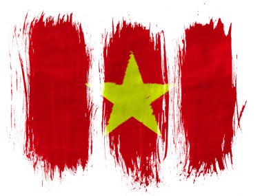 Vietnam bayrağı
